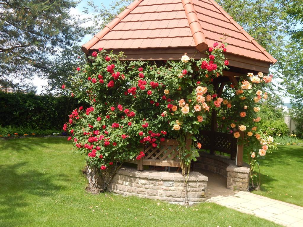 Palazzo Wellness Villa Eger Esterno foto